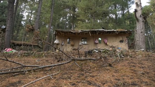 कश्मीर के जंगलों में रहने वाले बंजारों के घर क्यों तोड़े जा रहे हैं?