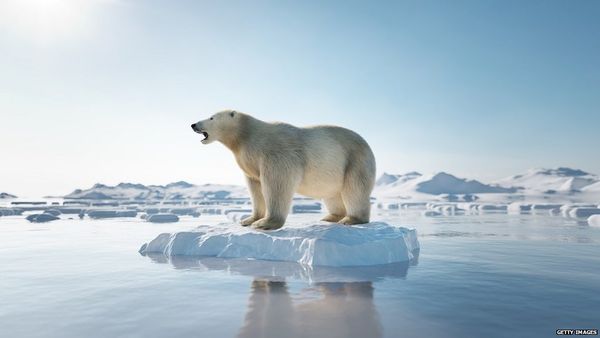 जलवायु परिवर्तन: IPCC रिपोर्ट से हम ये 5 बातें सीख सकते हैं