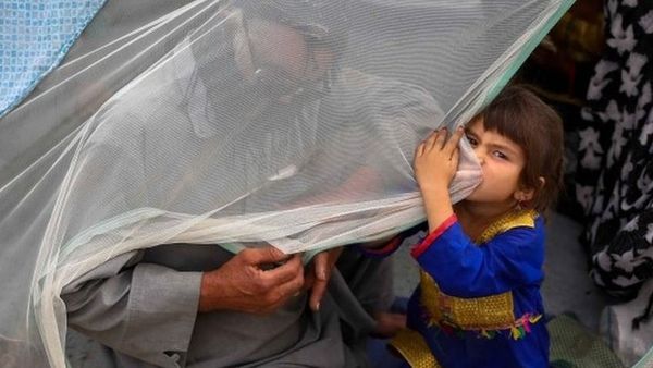 अफ़ग़ानिस्तान में बीते 24 घंटों में कैसे तेज़ी से बदले हालात?