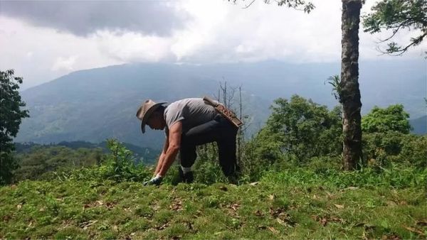 कभी चीनी कहे गए पूर्वोत्तर भारत के कलाकार कैसे बॉलीवुड में लिख रहे हैं ख़ुद की कहानी