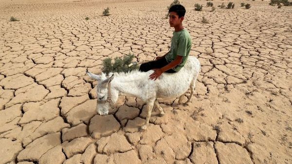 मौसम में ख़तरनाक बदलावों के लिए क्या ग्लोबल वॉर्मिंग है ज़िम्मेदार