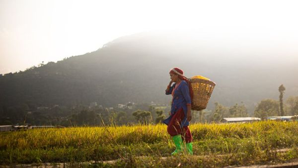 नेपाल के लिए खाड़ी के इस्लामिक देश इतने अहम क्यों हो गए हैं?