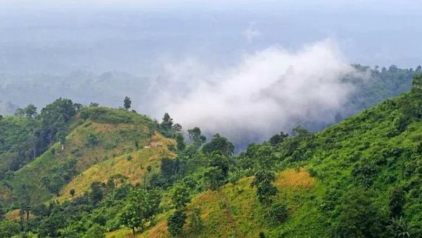 बांग्लादेश के बंदरबन से भारत क्यों पहुंचे हैं पांच सौ लोग और क्या चाहते हैं?