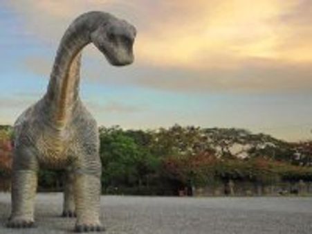 Dinosaurs were social animals, not solo creatures