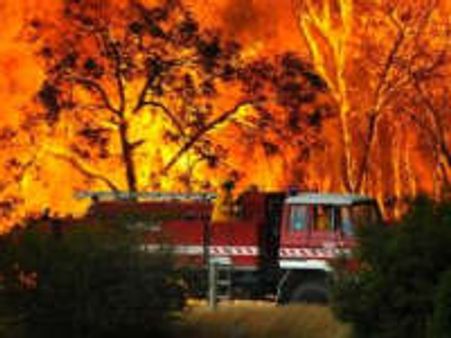 Wildfire kills atleast 35 in Australia