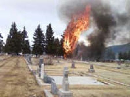 Plane crash in Montana kills 17, mostly kids