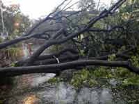 Mamata, Buddhadeb to visit cyclone Aila hit areas