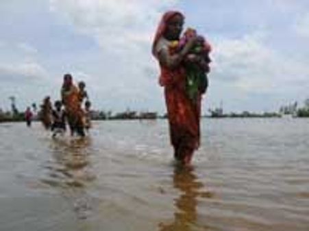 Aila kills 12 Bengal tigers; death toll above 100