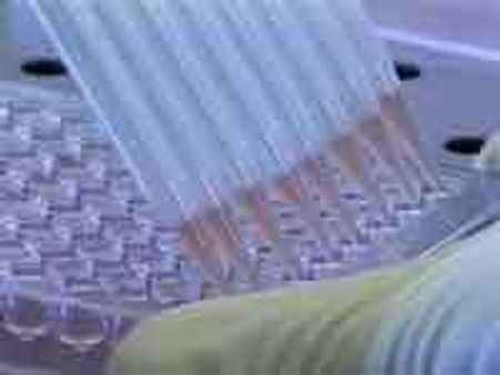 Indigenous Swine Flu vaccine in India by year end