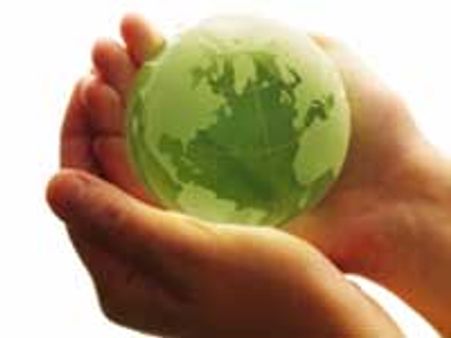 Firm goes green if boss says yes