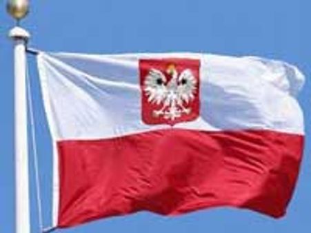 Paedophiles to be castrated: New Polish Law