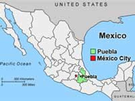 Mexico drug war: 11 gangsters, 1 civilian killed