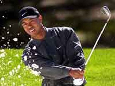 Online publications gain from Woods scandal