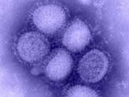 2009: Top ten science stories