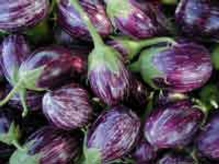 Karnataka says no to Bt Brinjal