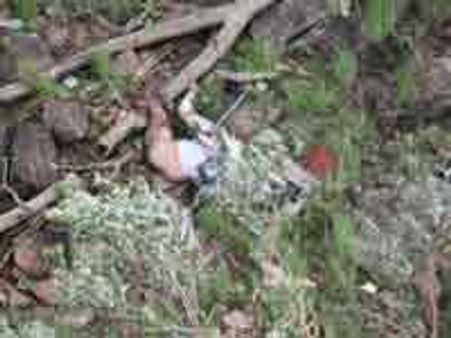 Expert rpt dismisses conspiracy behind YSR's crash