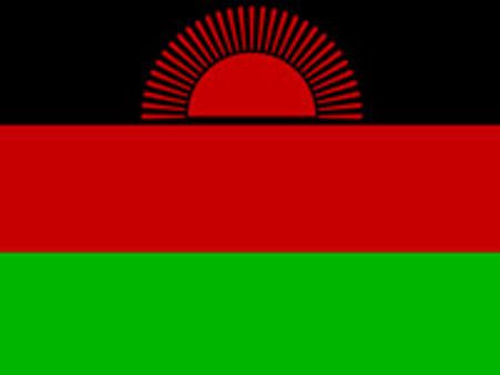 Malawi: Gay men convicted, could face 14 yrs jail