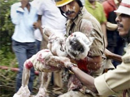 Eight people survived in Mangalore crash