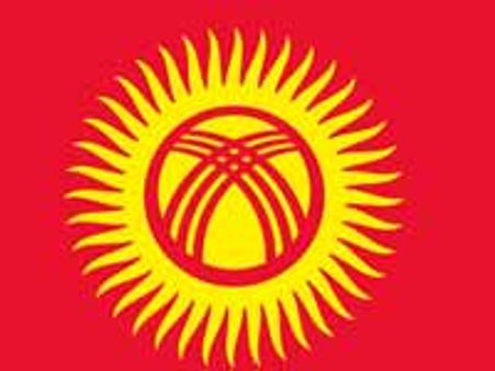 Kyrgyzstan to probe into ethnic violence