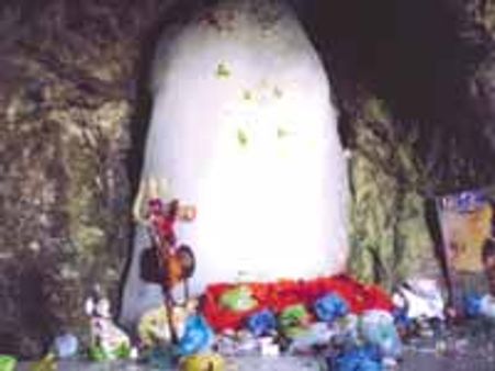 Impose President rule in JK: Shiv Sena Youth Wing