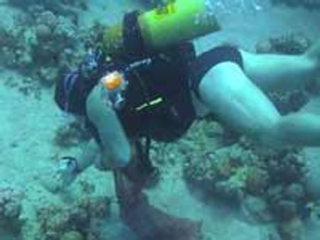 Scientists discover new species in Atlantic Ocean