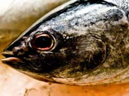 Checking if seafood is fit for consumption: BMC