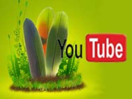 YouTube acquires Irish video tech firm Green Parrot Pictures