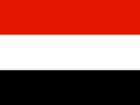 Yemeni parliament gives president emergency powers