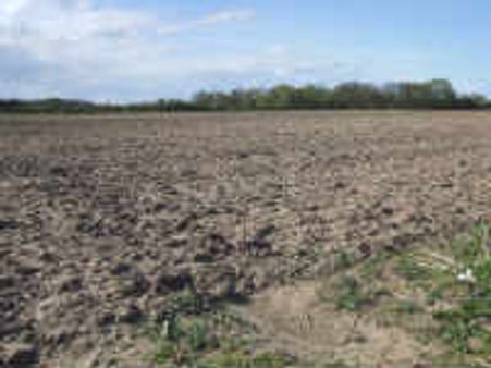 Rs 4,000-cr NABARD funds for agriculture refinance in Andhra