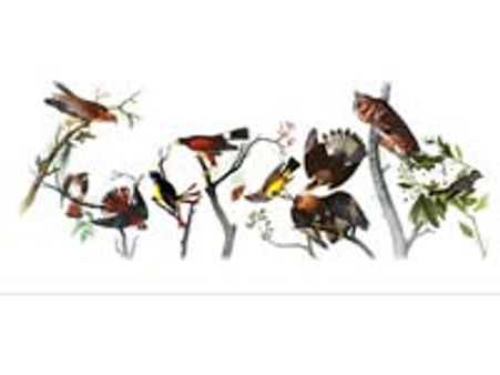 Google doodle paints birds to honour ornithologist Audubon