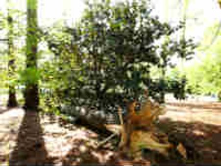 Death toll leaps to 193 as brutal storms rip through US