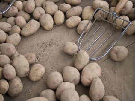 Food inflation at 7-week low of 7.61pc in week ended June 25