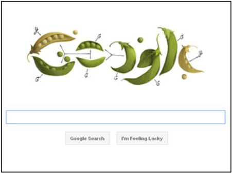 Google honours scientist Gregor Mendel with Pea Doodle