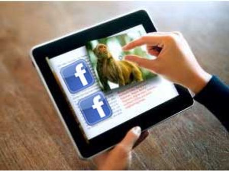 Facebook buys digital publisher Push Pop Press