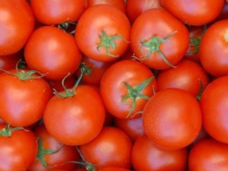 Tomato price increase not due to cartel of traders: Govt