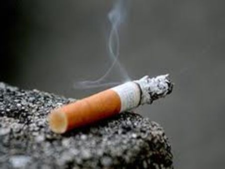 US opposes total FDI ban in India's tobacco sector