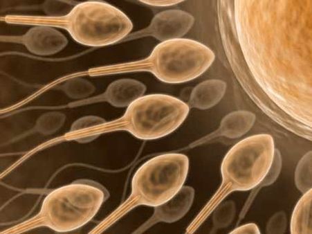 Sperm Donation: Too tricky a business for Indian mind?