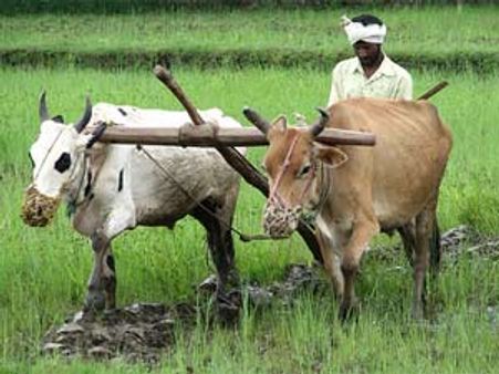 Rs 20 cr loans disbursed among 13,000 farmers