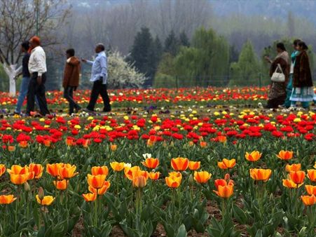 Wounded Srinagar embraces tourists, largest Tulip Garden