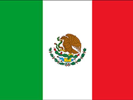 Quake shakes Mexico capital, no damage reported