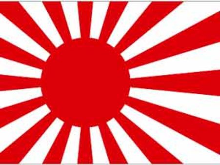 Japanese economy has begun to recover: central bank