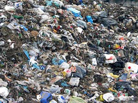 Stinky affair: Bangalore's baby steps at waste segregation