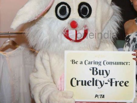 Our good work is being tarnished: PETA hits back at critics