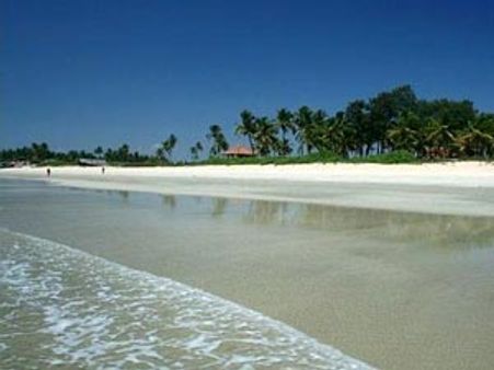 Beach cleaning machines will kill lives in sand: Goa greens