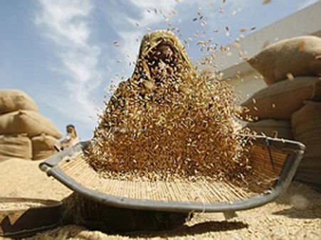 Government hopes Parliament passes Food Security Bill