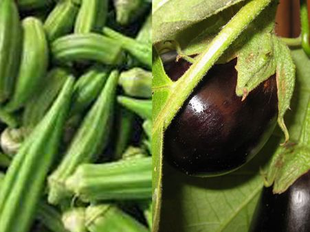 Relief for common man as lady's finger and brinjal prices to come down