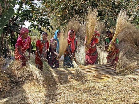 30 million people are slaves, half in India: Survey