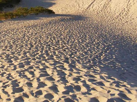 Officials begin inspections on illegally mined mineral sand