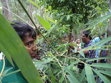 (In Pics) Curious minds explore and mingle with nature