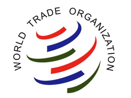 Won't back WTO protocol unless food security concerns addressed, states India in Geneva